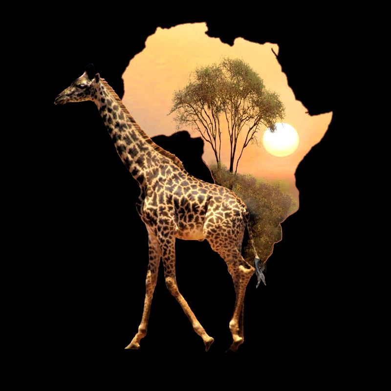 Giraffe - Wildtier - Afrika
