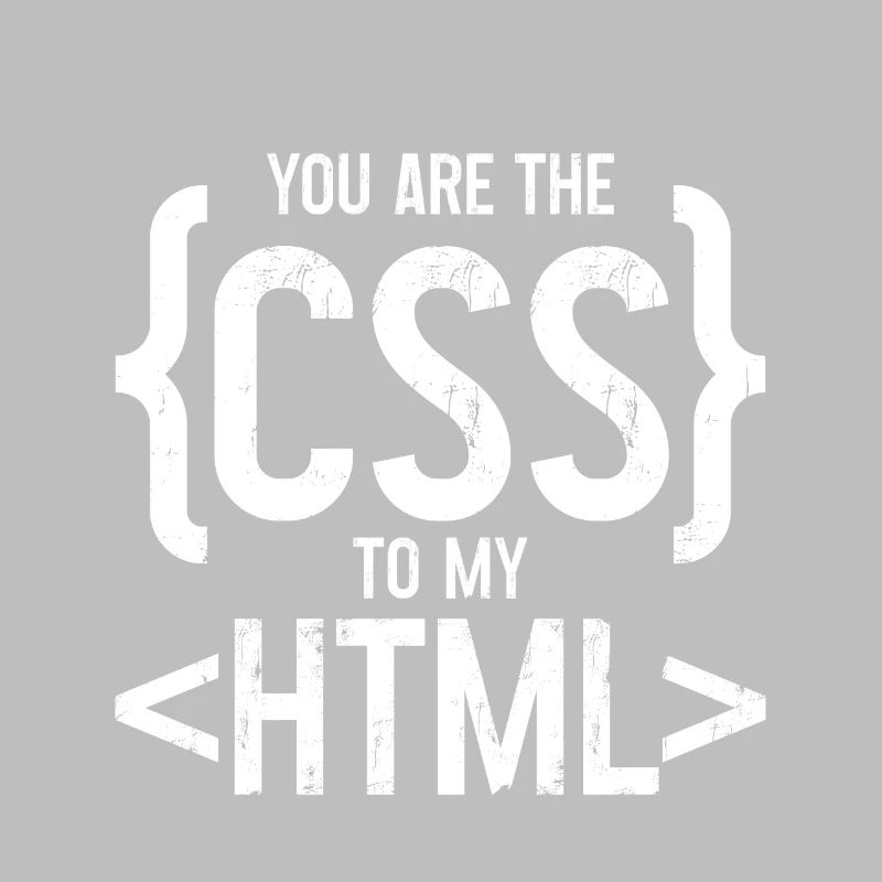 Vous êtes le CSS de mon HTML 3