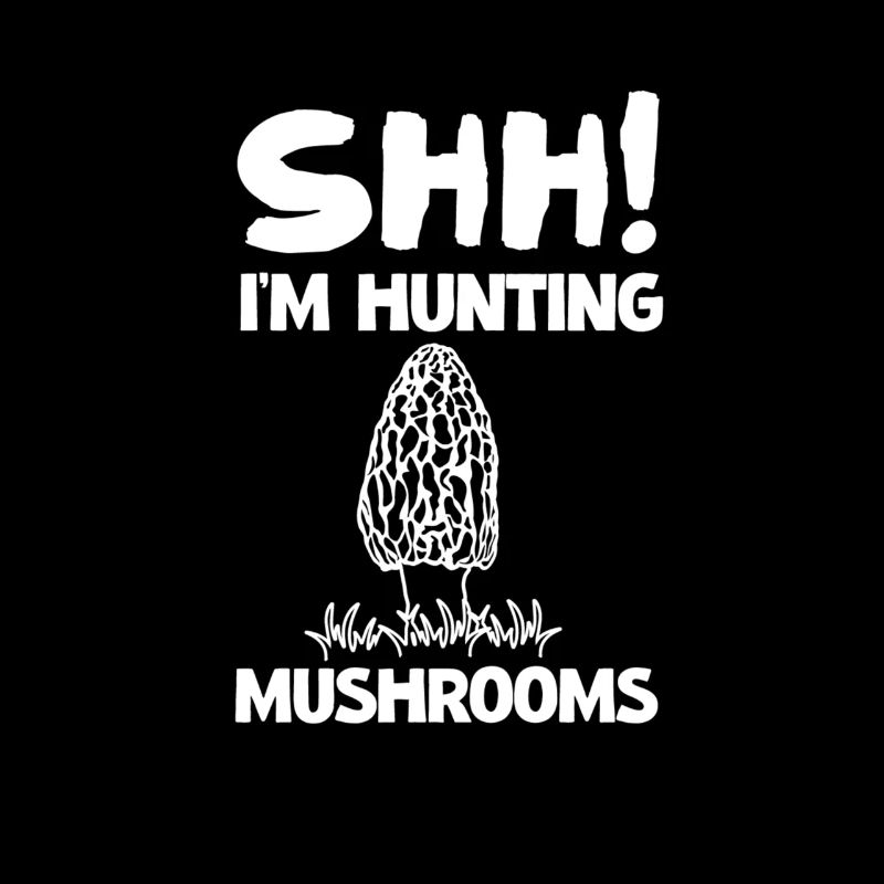 Morilles Morilles Champignons Champignons Cueillette Chasse aux champignons