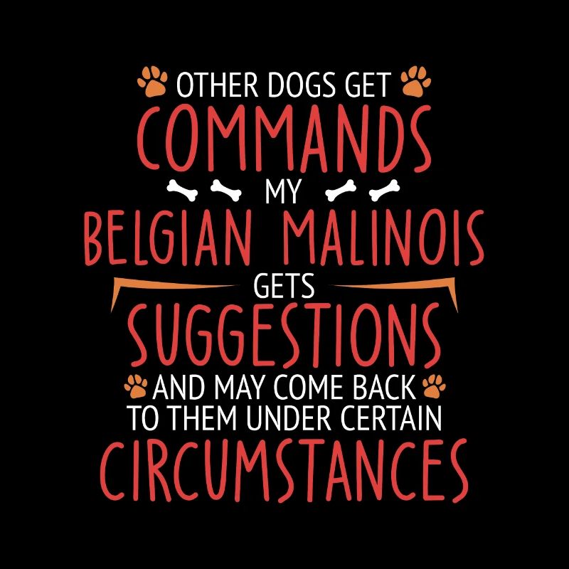 Belgian Malinois Commands Belgian Shepherd
