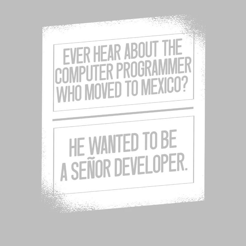 Programmer Coder Software Developer