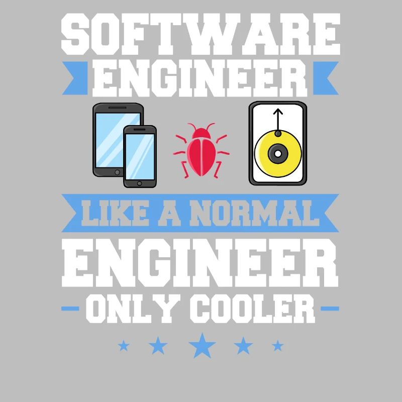 Software Engineering Softwaretechnik Ingenieur