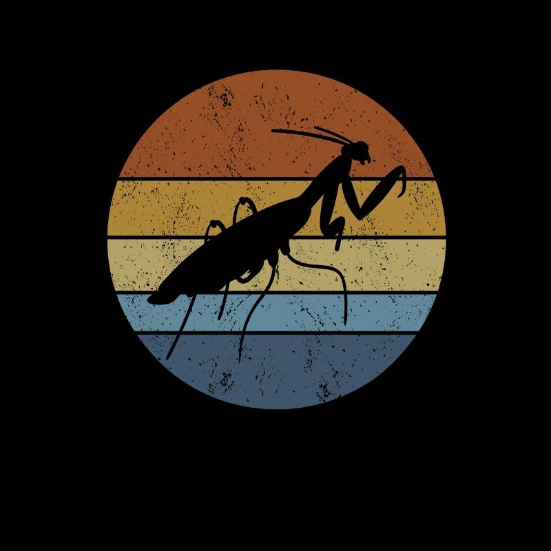 Praying mantis Insect lover Mantis