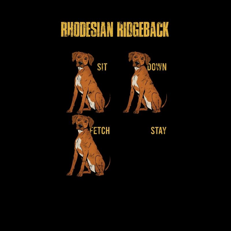 Rhodesian Ridgeback guide de formation asseyez-vous