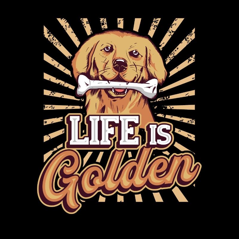 La vie est dorée - Golden Retriever