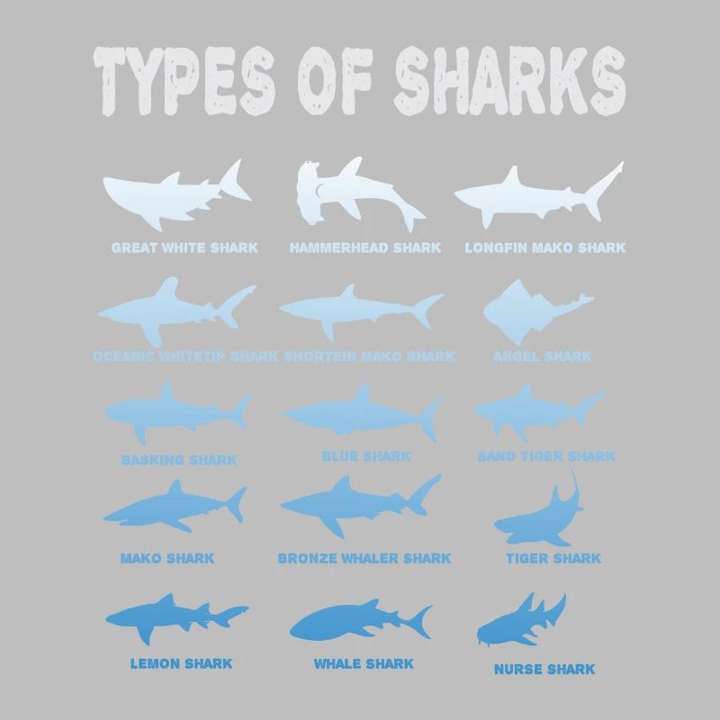 Types de requins