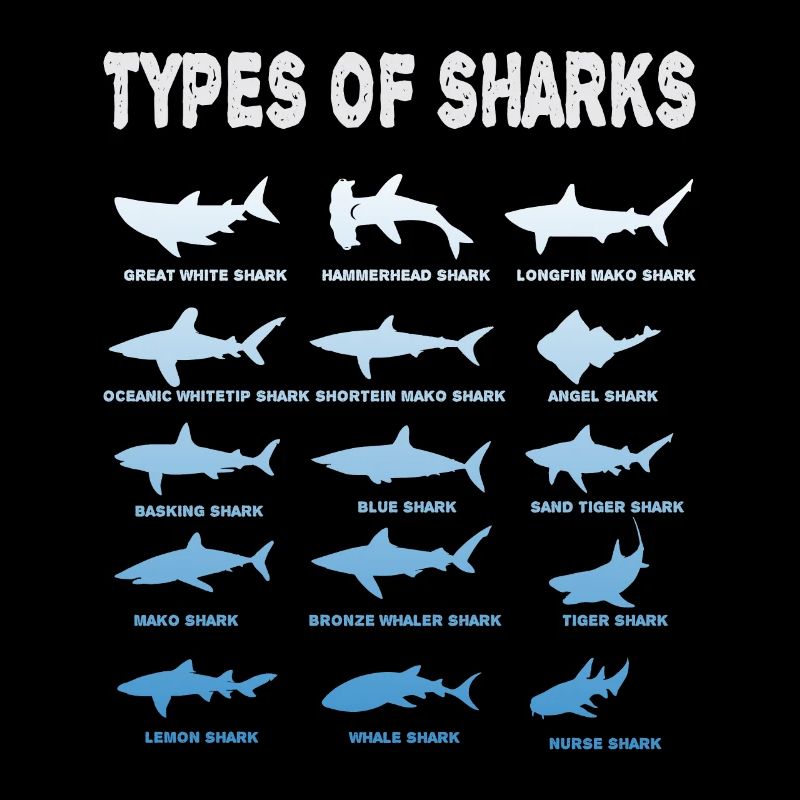Types de requins