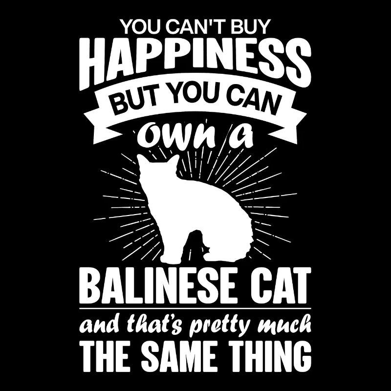 Peut acheter un chat balinais