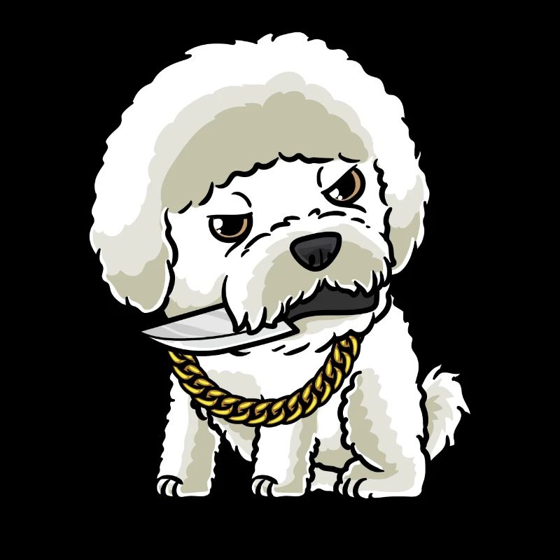 Bichon Frisé Hund Gelockter Bichon Mit Messer