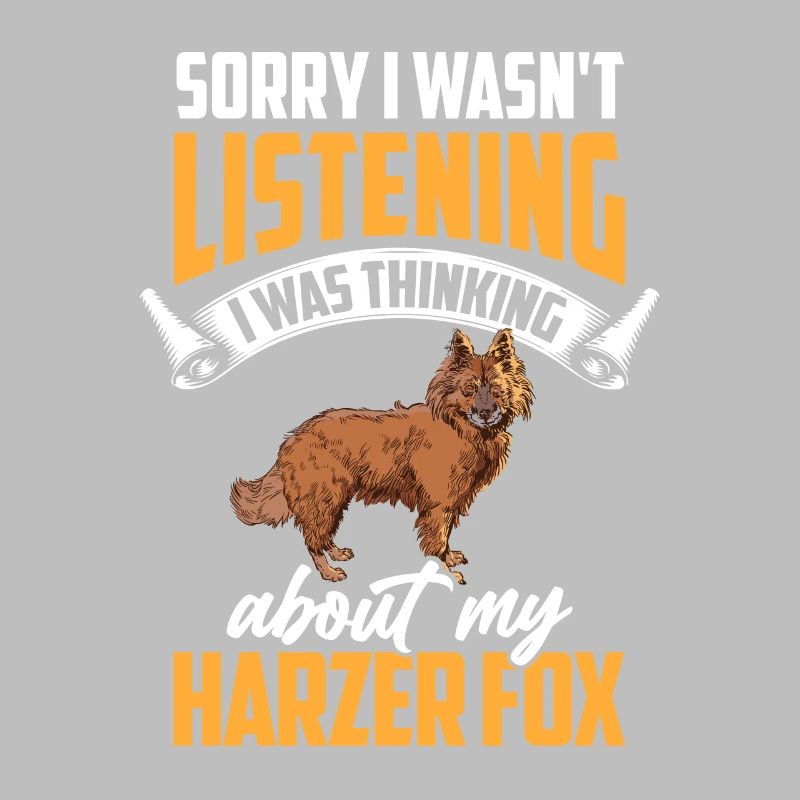 Harz fox was distracted herding fox