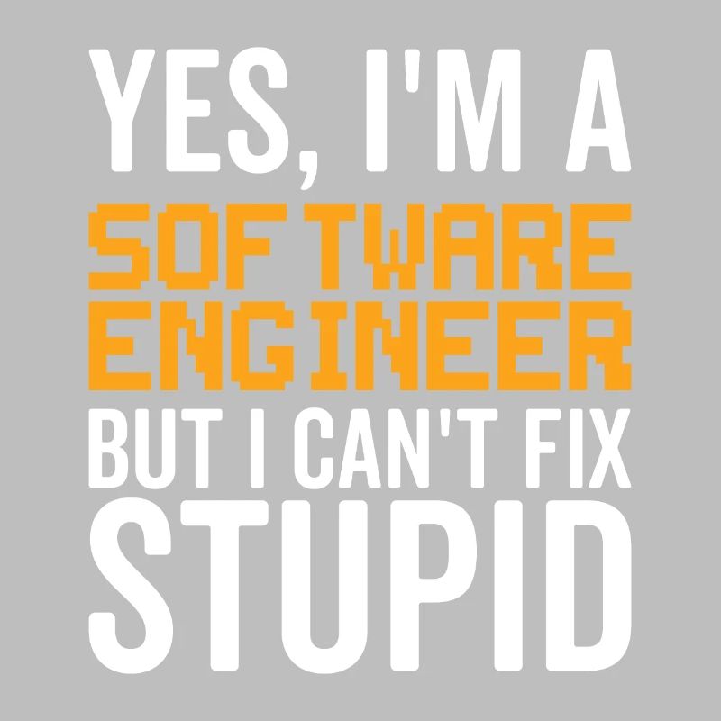 Stupid Software Engineer