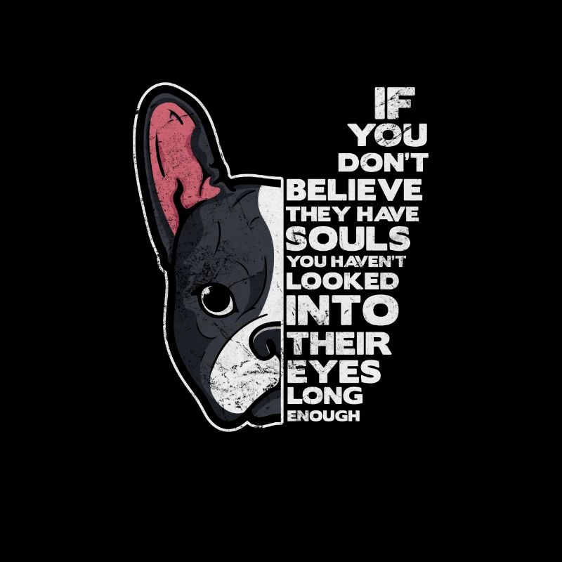 Boston Terrier