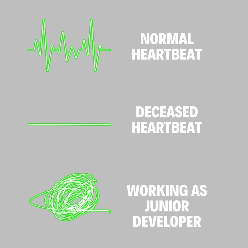 Junior Developer Professional Worker