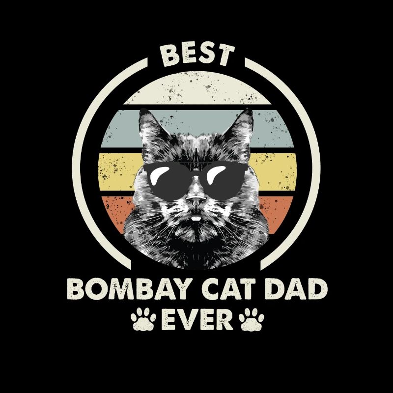Papa chat - Bombay Katze