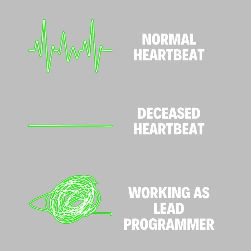 Lead Programmer Worker Funny Programmer