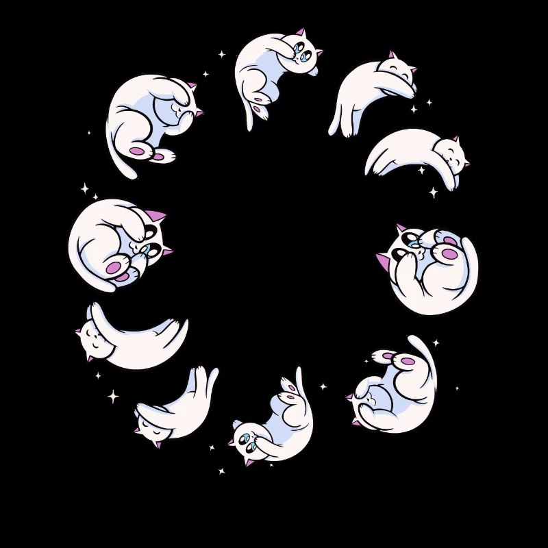 Süße Mondphase Astrologie Katze Wicca Hexe