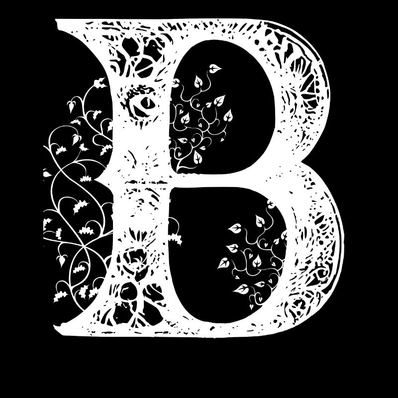 Buchstabe B Monogramm Hand gezeichnet Typografie G