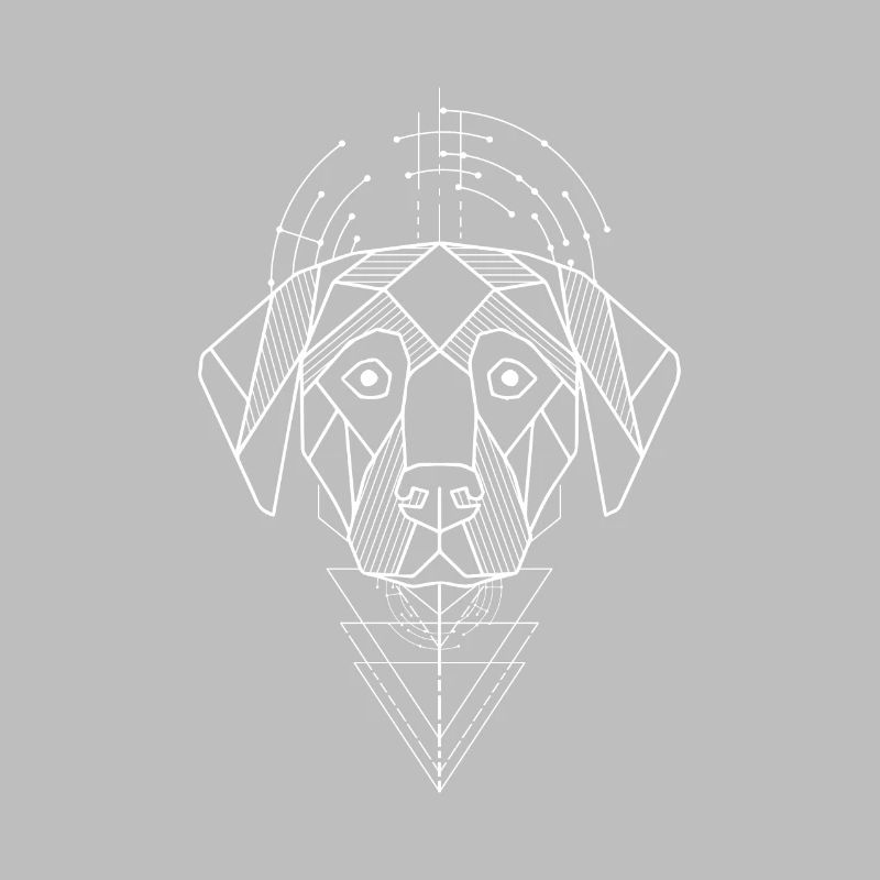 Polygone de chien