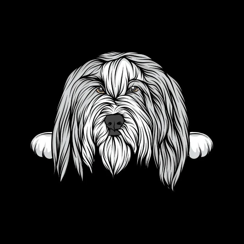 Chien