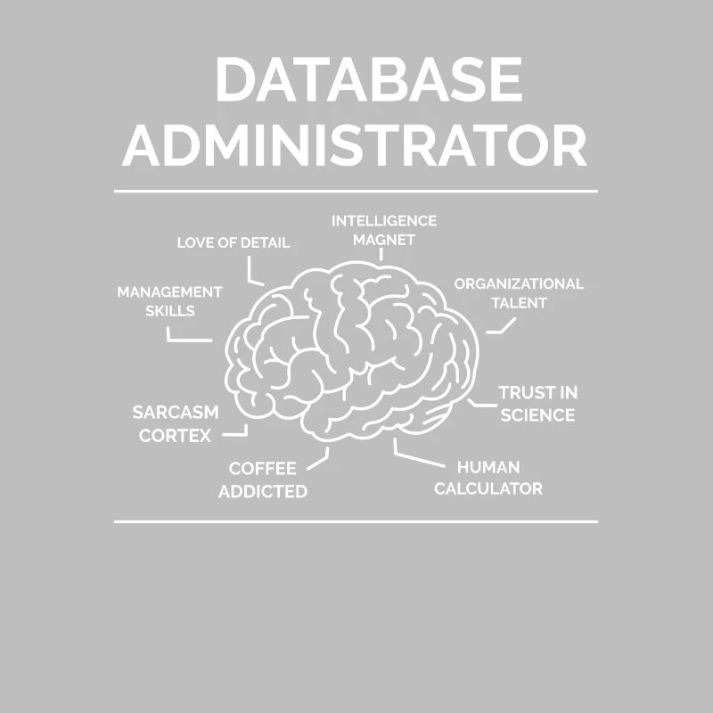 Database Administrator