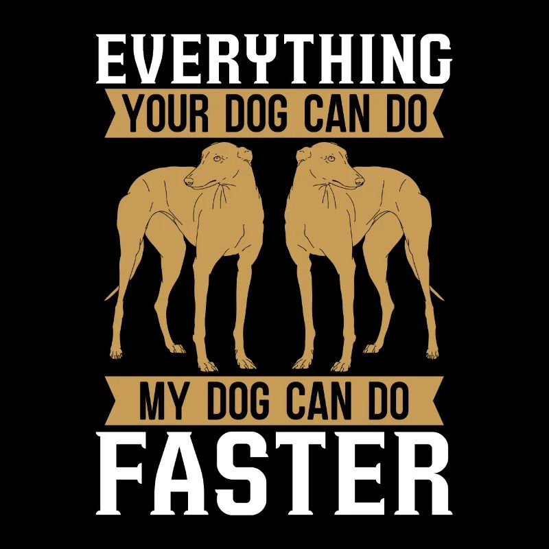 Greyhound Racing Everything Your Greyhound Racer