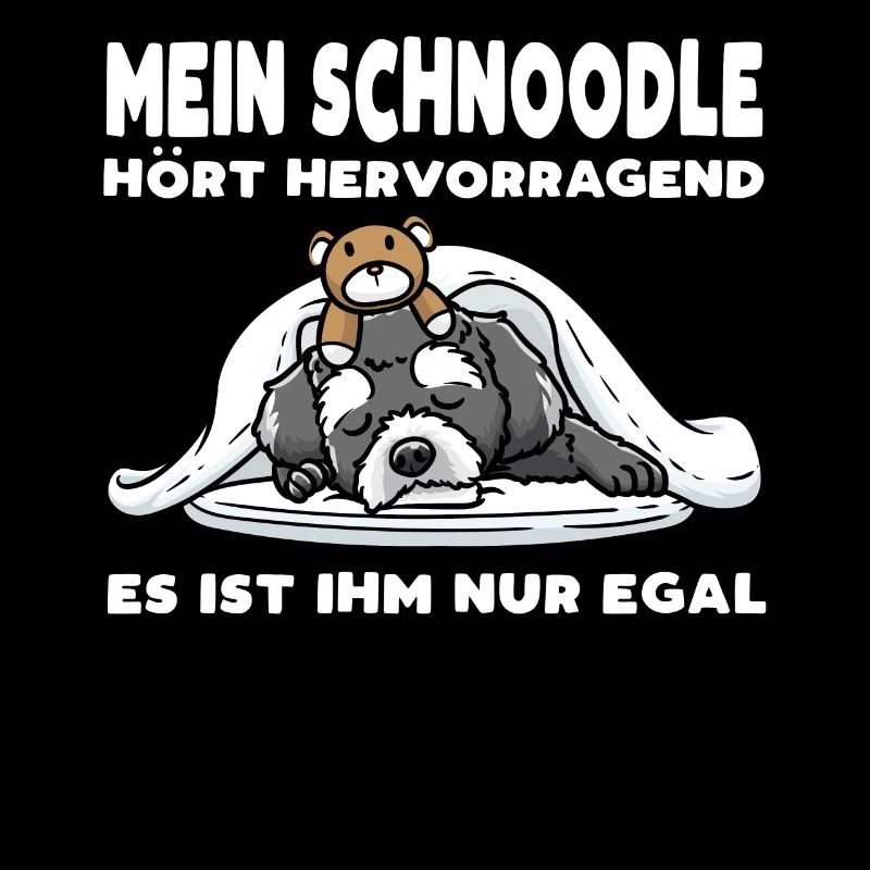 Schnoodle Hund Mit Kuscheltier