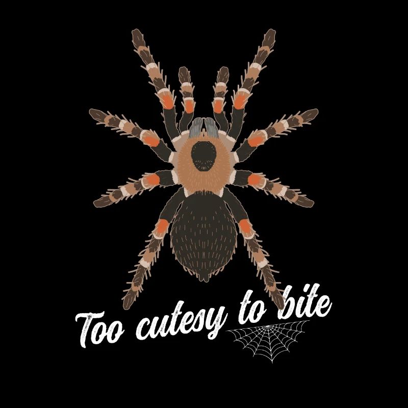 Tarantula Spider Tarantula Tarantula Tarantula Gift