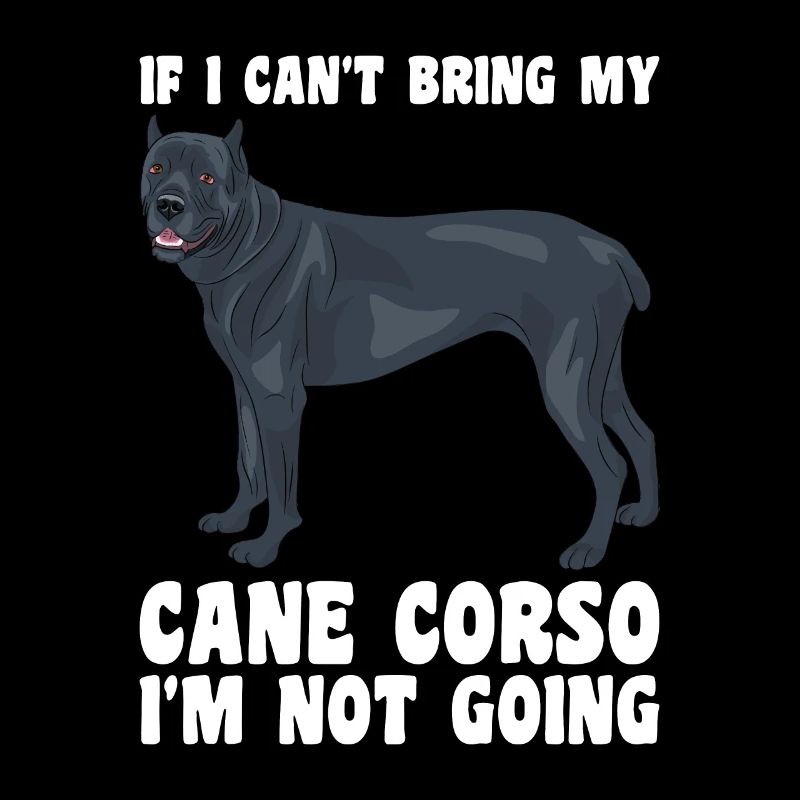 Cane Corso