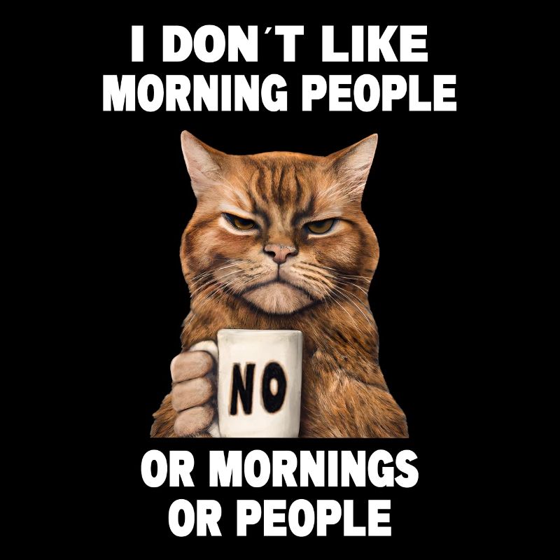 Dont like morning people Grumpy Funny Cat