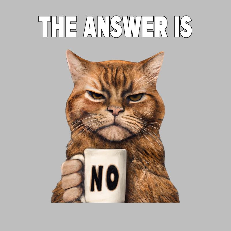 The answer is no. Grumpy Funny Cat