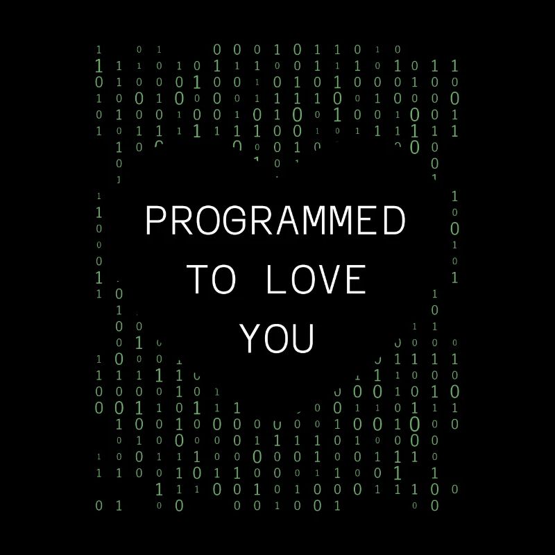 Entwickler Coder Programmierer