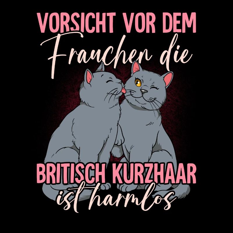 Britisch Kurzhaar Katzen