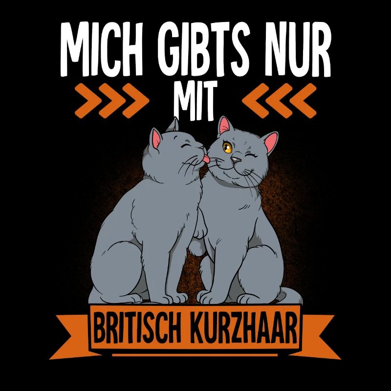 Britisch Kurzhaar Katze