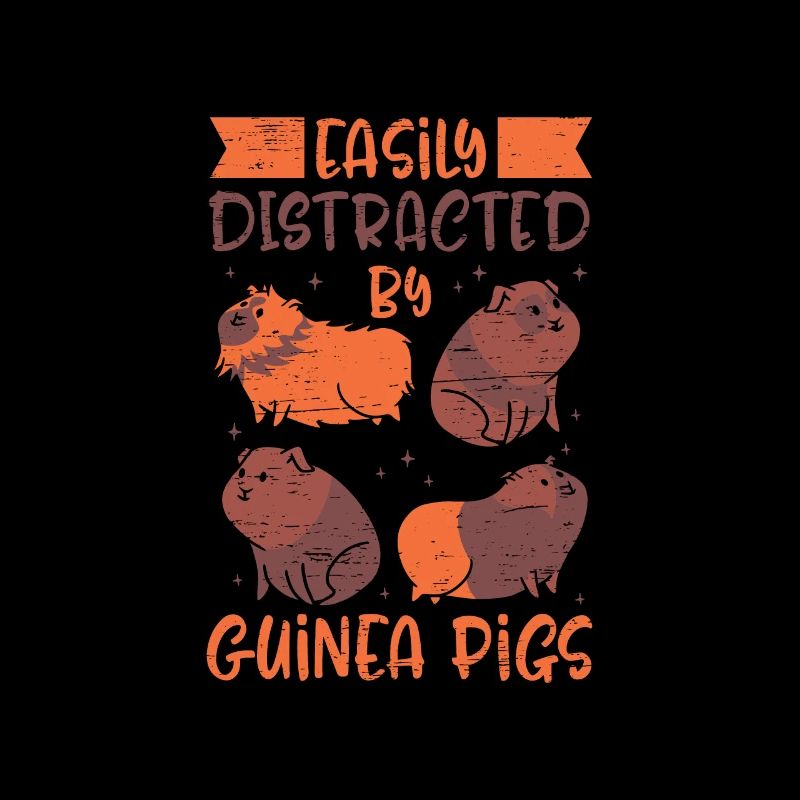 Facilement distrait par les cochons d’Inde