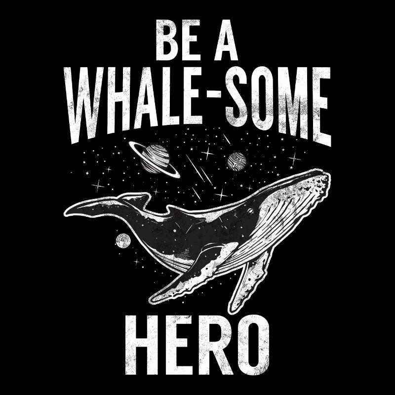 Killerwal Schwertwal Wale beobachten Orca Wal