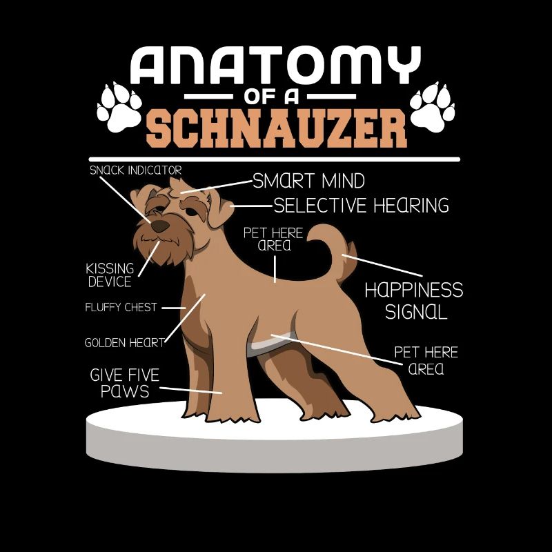 Zwergschnauzer