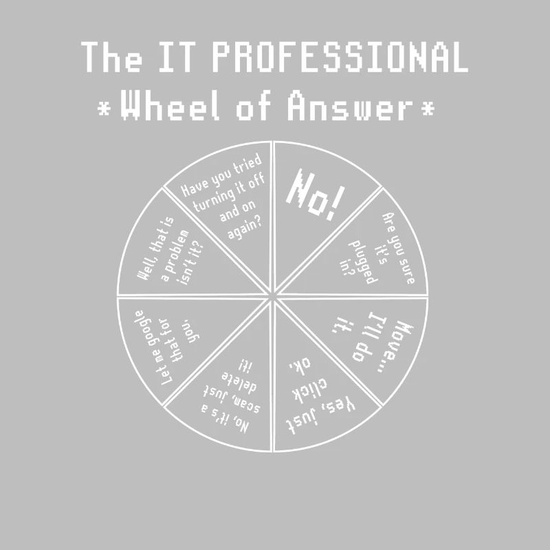 IT Wheel of Fortune Software Programmer