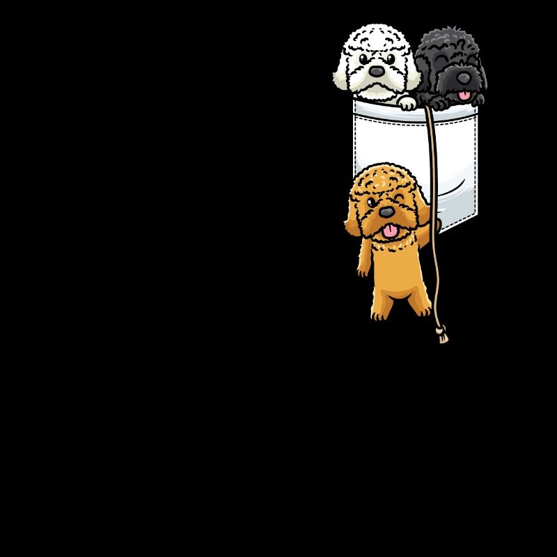 Cockapoo Chien dans le sac