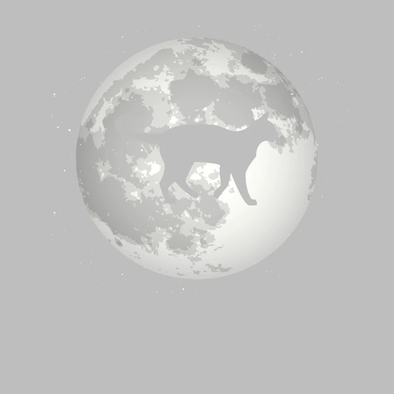 Full Moon - Cat -
