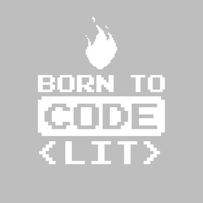 Developer Coder Programmer Funny