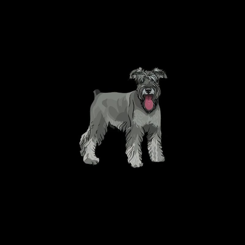 Schnauzer dog breed