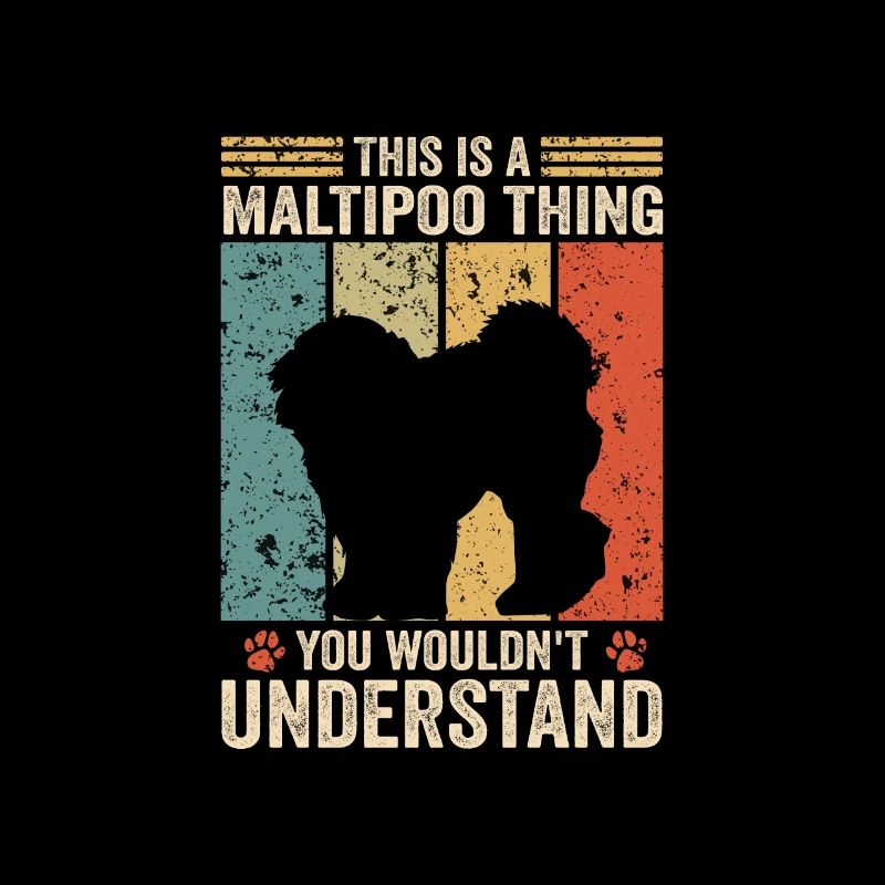 This is a Maltipoo thing