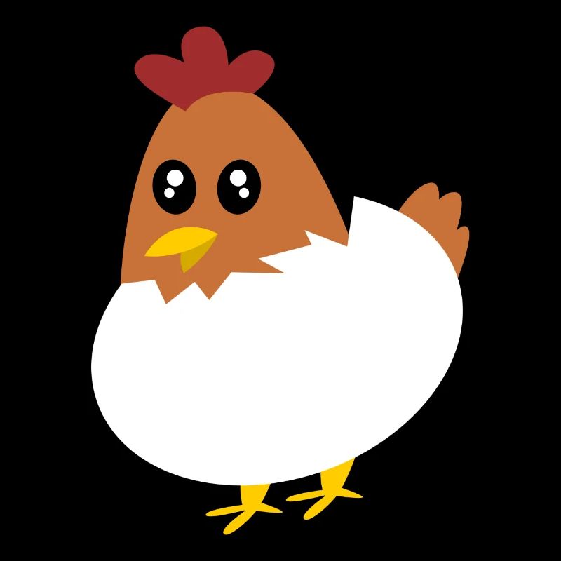 Chicken Eggs Chicken Egg Chicken Eggshell