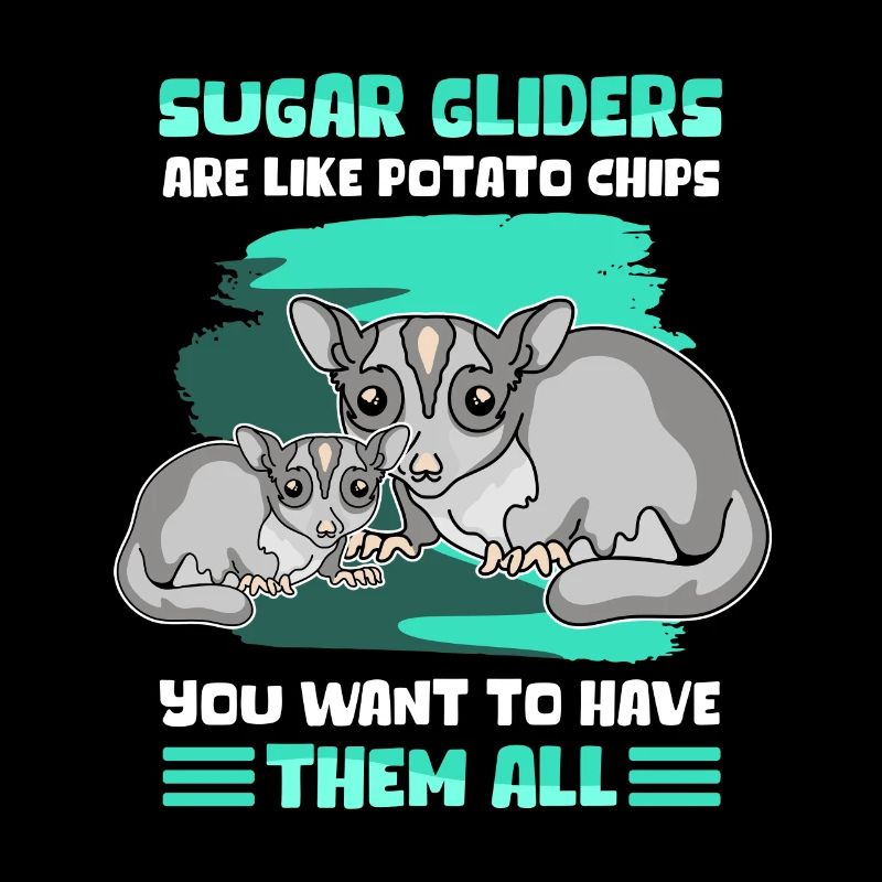 Sugar Glider Short Head Glider Cadeau