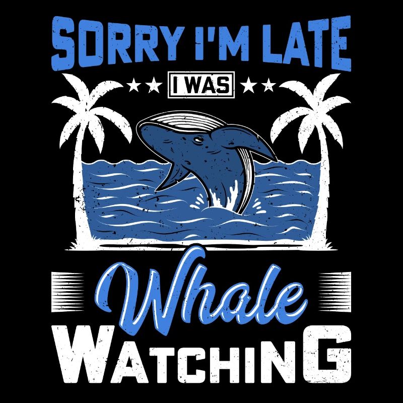 Observation des baleines Observation des baleines Orques Bleu Baleine