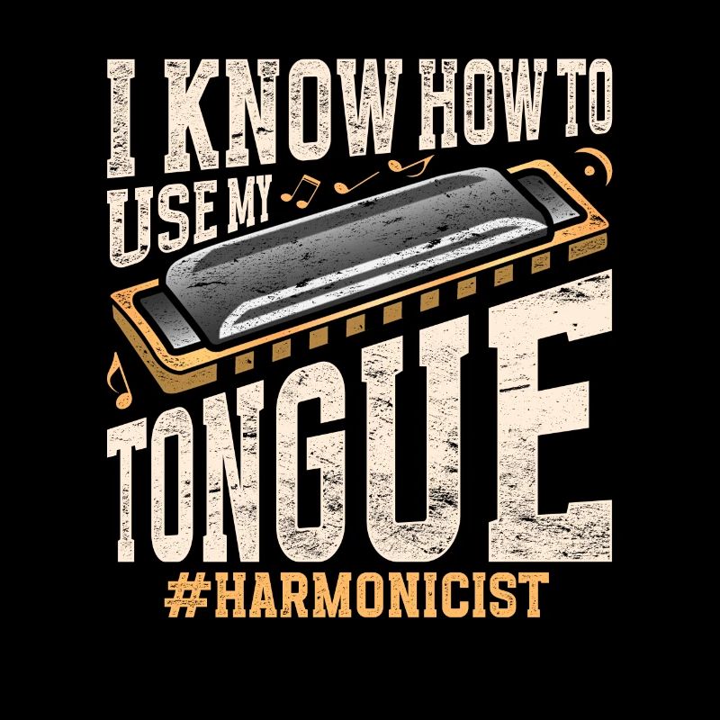 Harmonica harmonica player