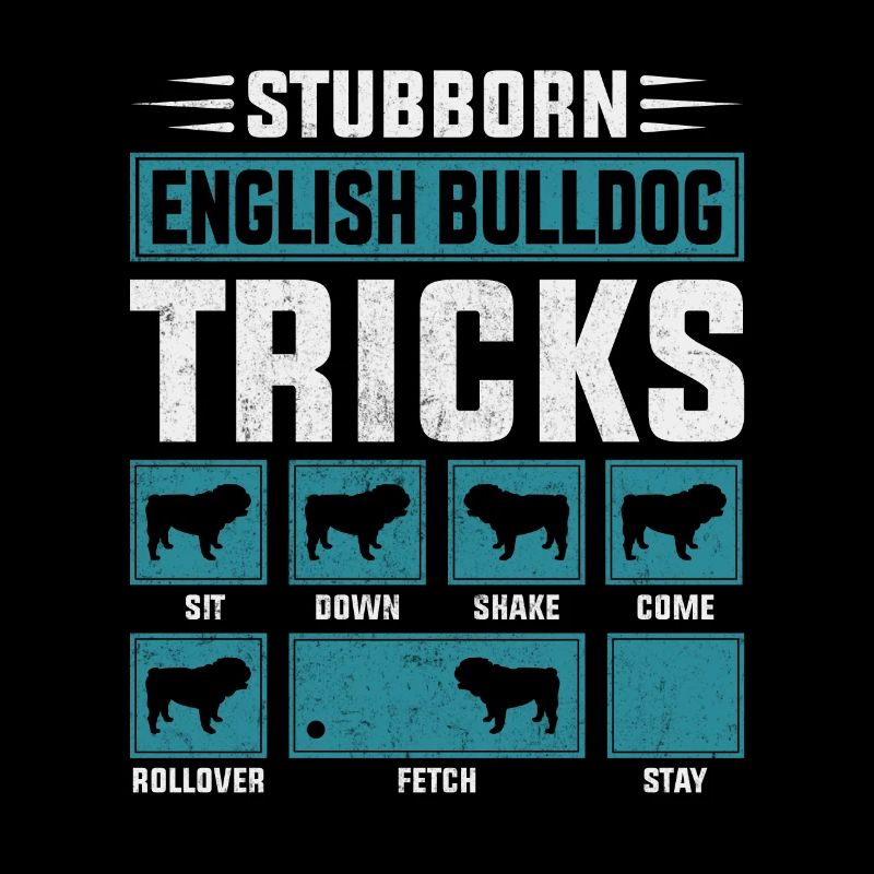Astuces de bouledogue anglais têtus