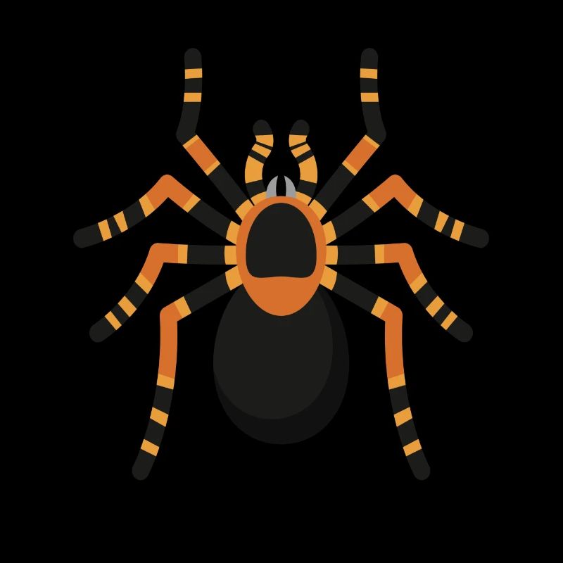 Araignée Araignée Tarentule