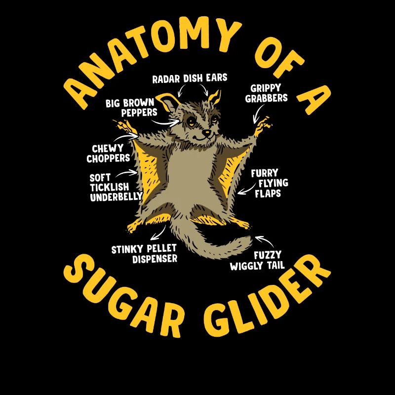 Anatomie du propriétaire de Sugar Glider Sugar Gliders