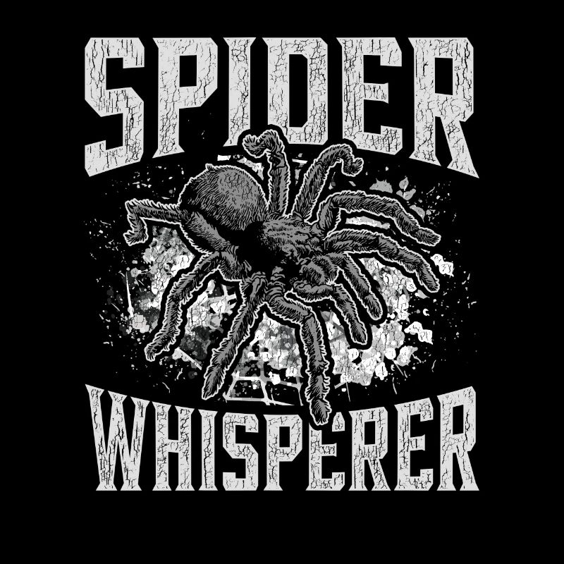 Araignée , Araignée , Tarentule, Arachnide, Araignée